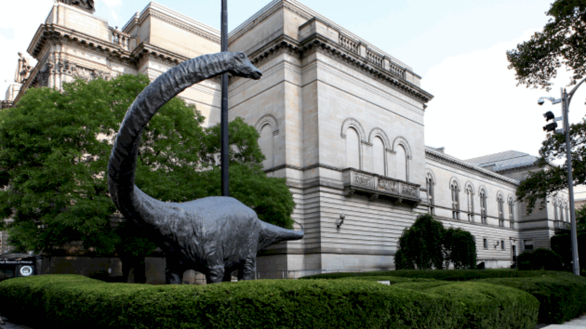 exhibition-of-rarely-seen-fossils-now-on-display-at-the-carnegie-museum-of-natural-history