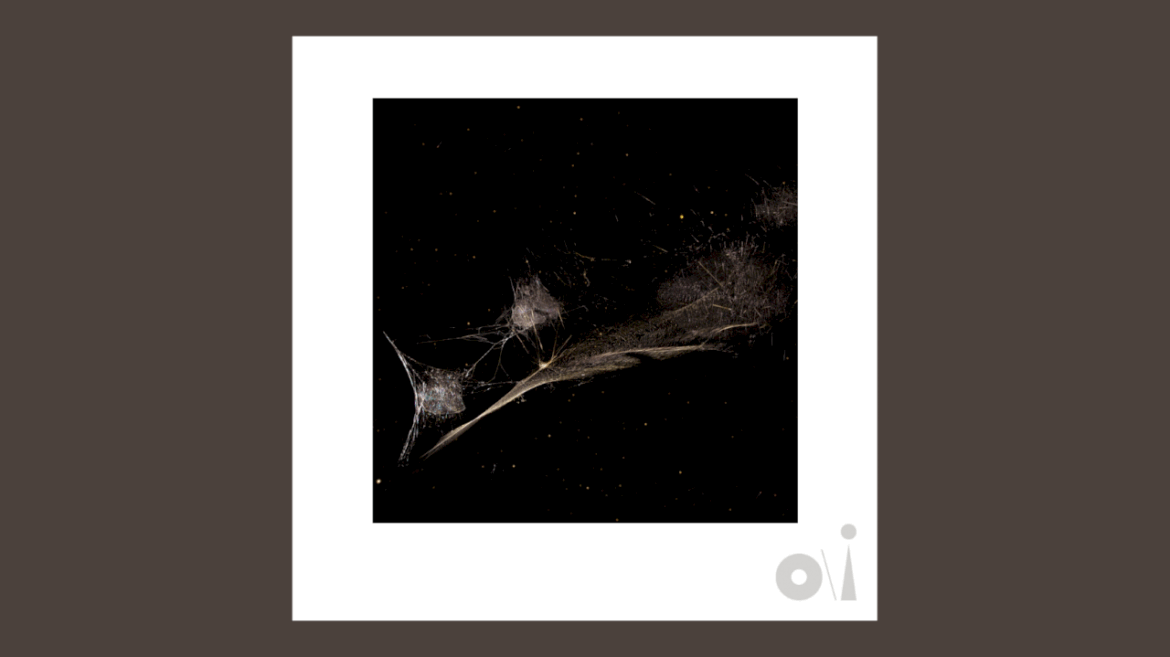 peter-gabriel-releases-‘put-the-bucket-down’-from-upcoming-album-‘o/i’