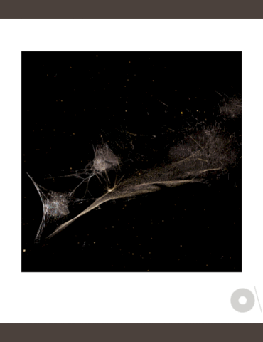 peter-gabriel-releases-‘put-the-bucket-down’-from-upcoming-album-‘o/i’