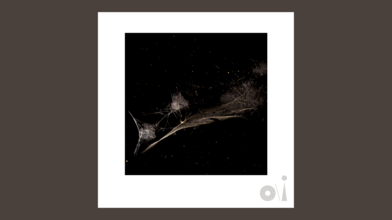 peter-gabriel-releases-‘put-the-bucket-down’-from-upcoming-album-‘o/i’