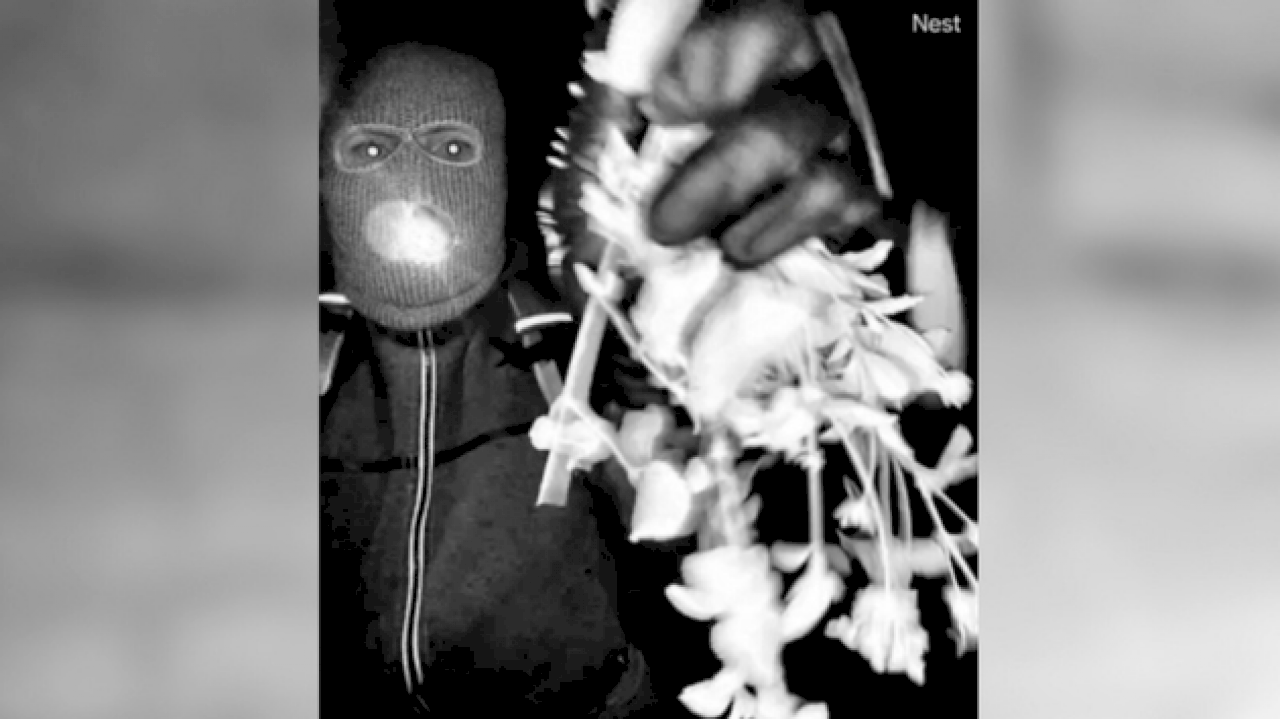 nancy-guthrie-disappearance:-fbi-director-kash-patel-releases-images,-video-of-‘armed-individual’