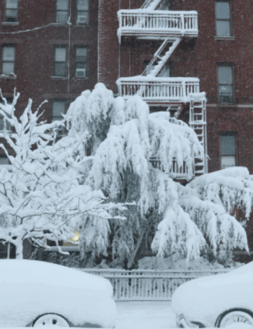 more-snow-expected-for-the-midwest-and-northeast