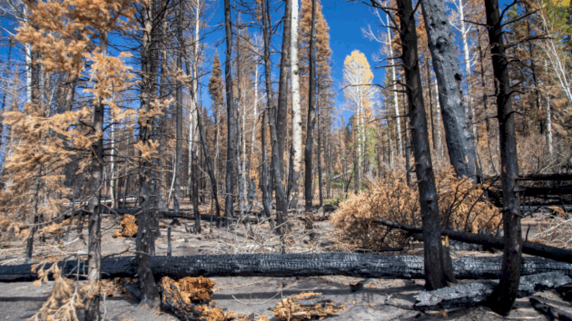 intensifying-drought-could-trigger-water-shortages-and-prolonged-fire-season-in-the-west