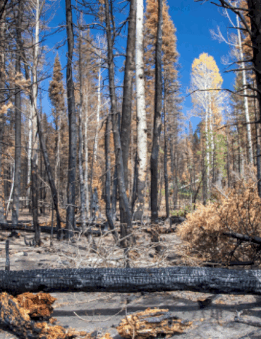 intensifying-drought-could-trigger-water-shortages-and-prolonged-fire-season-in-the-west