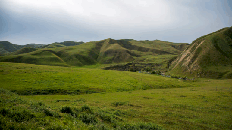 attorney-of-man-shot-in-ice-involved-shooting-says-18th-street-gang-allegations-are-false