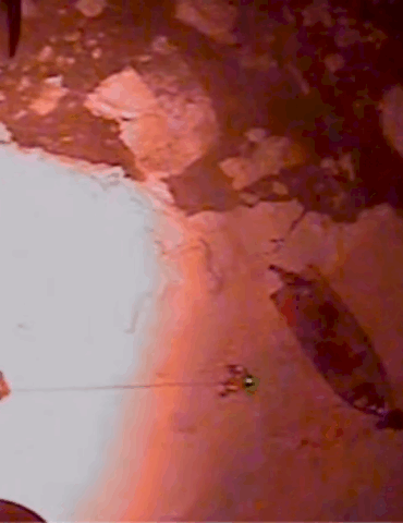 4-rescued,-including-child,-after-hunting-party-gets-stuck-on-ice-floe-in-alaska:-coast-guard