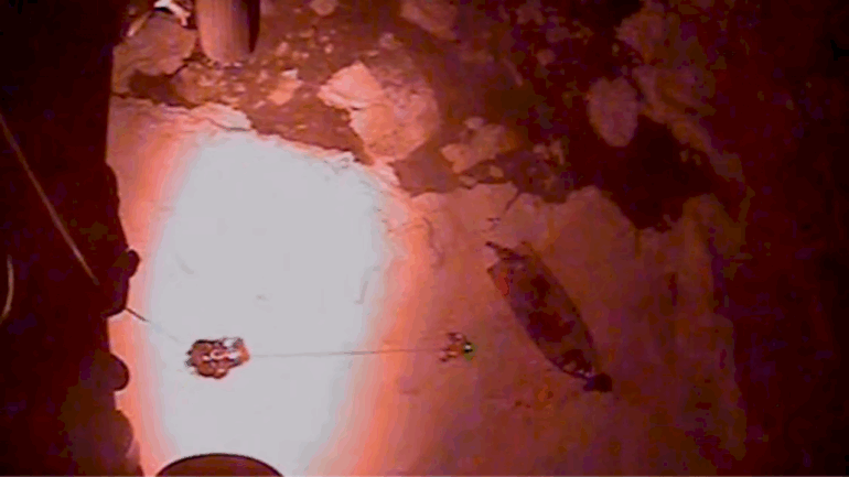 4-rescued,-including-child,-after-hunting-party-gets-stuck-on-ice-floe-in-alaska:-coast-guard