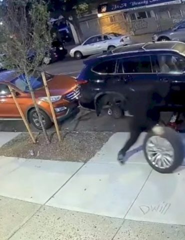 ‘pit-crew’-car-thieves-arrested-following-over-250-bronx-heists:-new-york-investigators