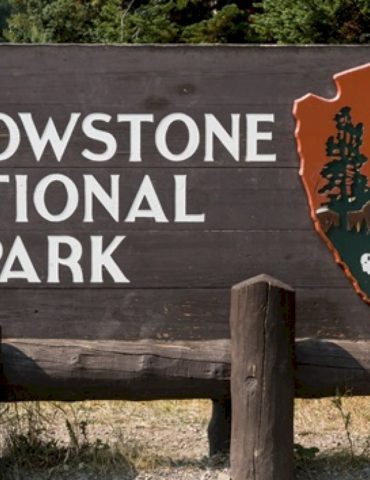 2-hikers-injured-in-bear-attack-at-yellowstone-national-park