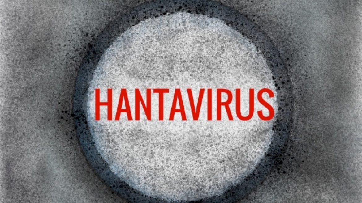 confirmed-hantavirus-cases-linked-to-suspected-cluster-aboard-cruise-ship-rise-to-5:-who