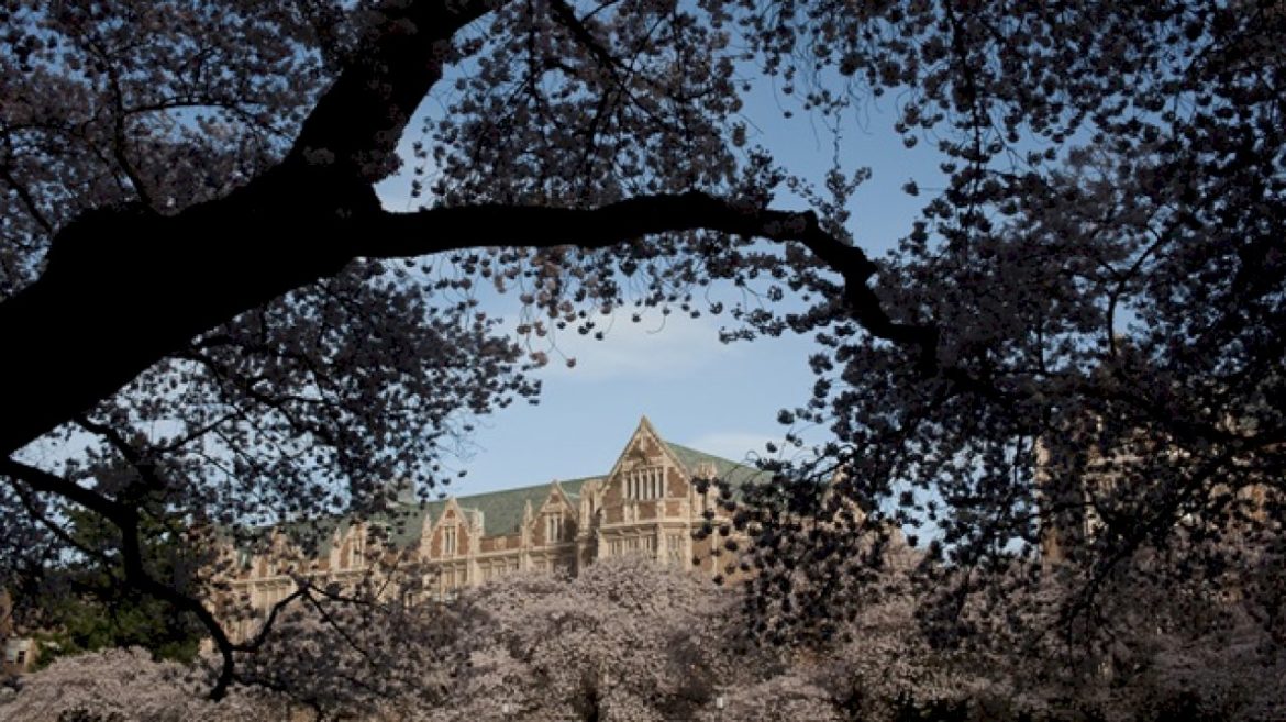 man-arrested-in-murder-of-transgender-university-of-washington-student:-police