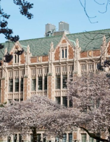 transgender-university-of-washington-student-stabbed-over-40-times:-court-documents