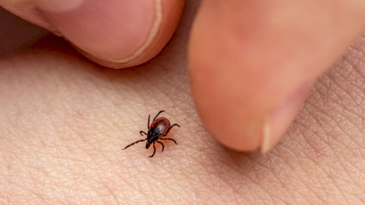 weekly-er-visits-for-tick-bites-reach-highest-level-in-nearly-a-decade.-will-this-season-be-worse?