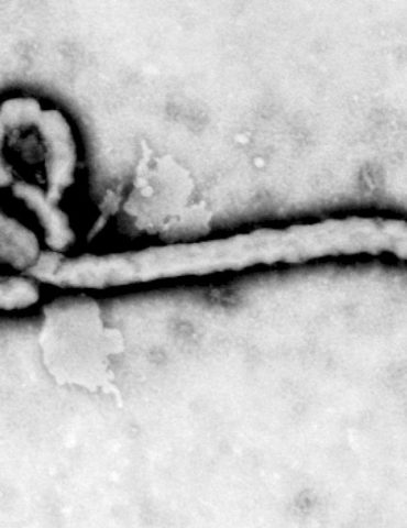 dhs-announces-ebola-outbreak-flight-arrival-restrictions-for-drc,-uganda,-south-sudan