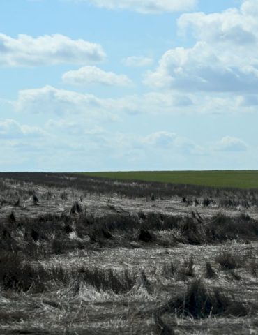 us-agriculture-industry-at-risk-as-drought-conditions-worsen