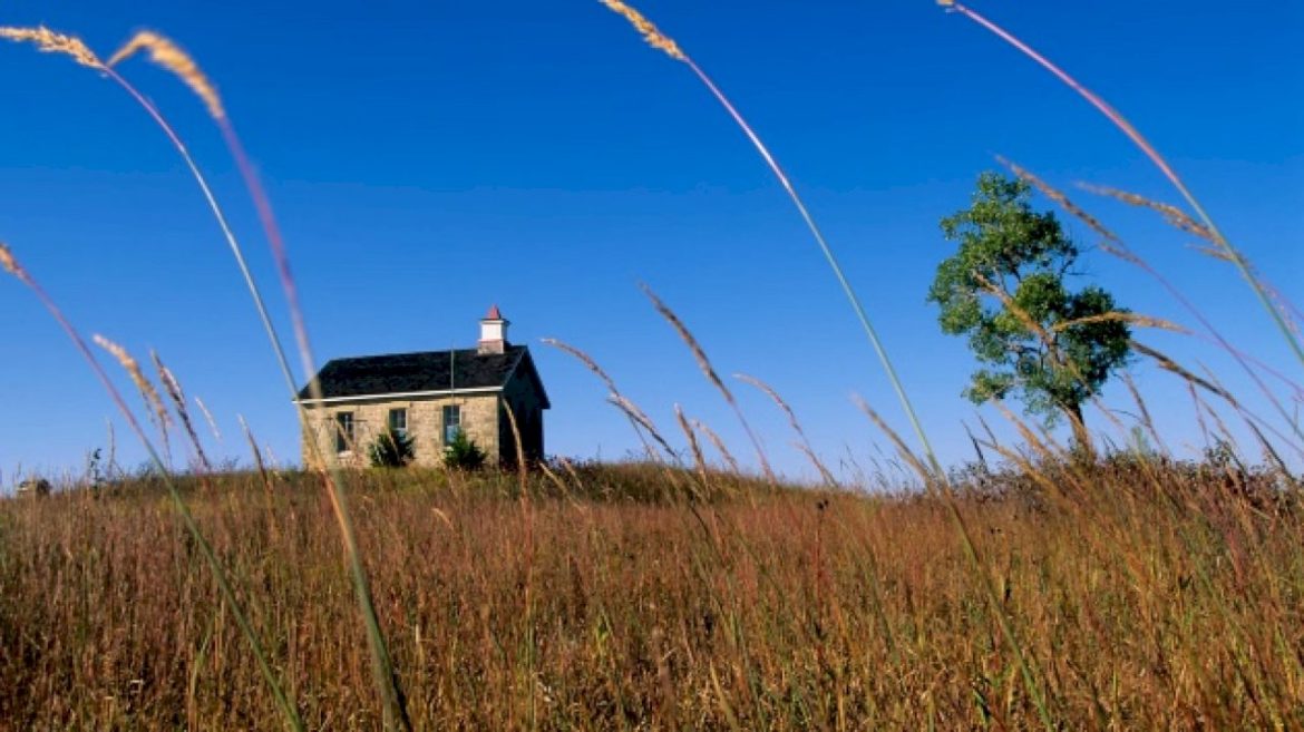 the-us-has-lost-about-half-of-its-historical-grasslands.-why-experts-say-it’s-important-to-protect-what’s-left