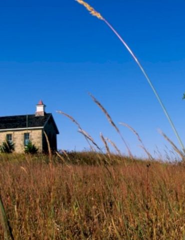 the-us-has-lost-about-half-of-its-historical-grasslands.-why-experts-say-it’s-important-to-protect-what’s-left