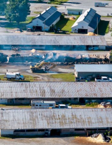 17-horses-killed-in-barn-fire-in-saratoga-springs,-ny
