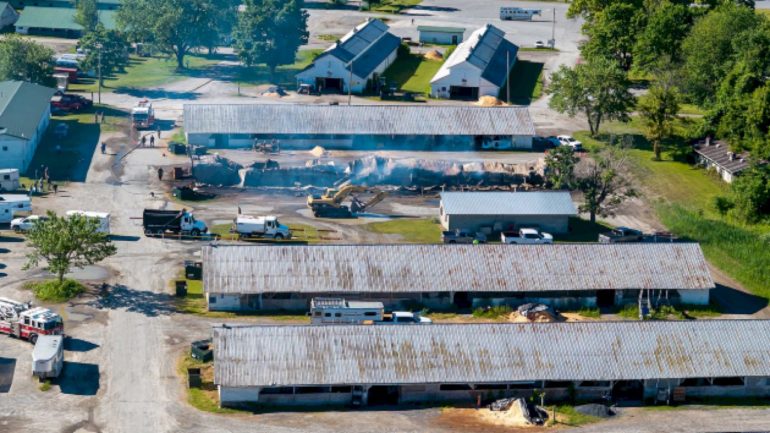 17-horses-killed-in-barn-fire-in-saratoga-springs,-ny