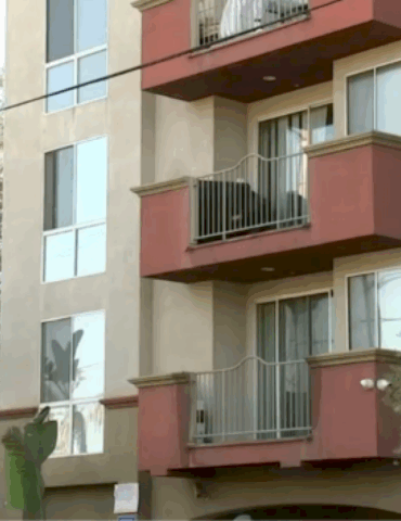 lapd-probing-officer-shooting-that-killed-dog-after-911-call