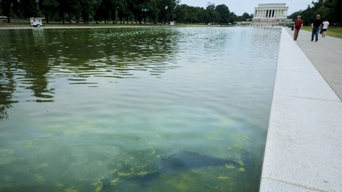 reflecting-pool-renovations-to-cost-more-than-$16-million