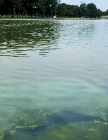 reflecting-pool-renovations-to-cost-more-than-$16-million