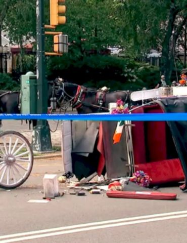 central-park-horse-carriage-rides-temporarily-suspended-following-death-of-18-year-old-tourist