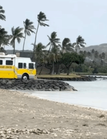 father,-son-missing-off-oahu-coast,-search-underway