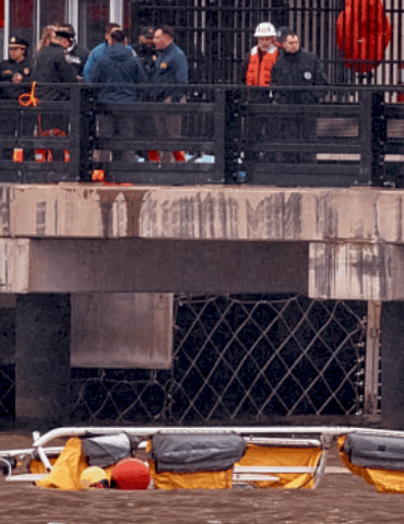 bird-strike-likely-caused-new-york-city-helicopter-crash-in-hudson-river:-ntsb