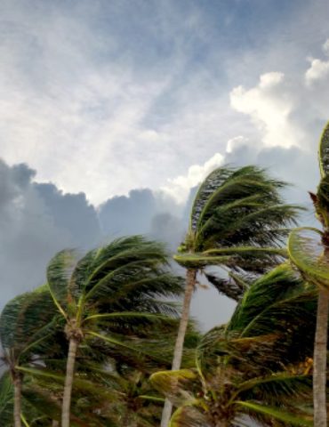 tropical-storm-bertha-takes-shape-off-the-florida-coast,-prompting-storm-alerts