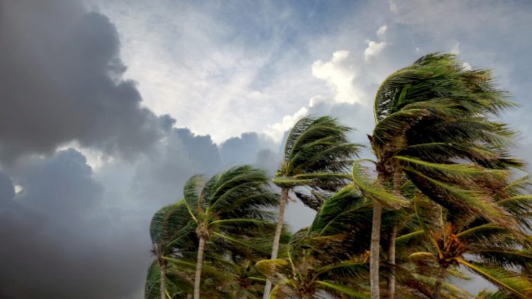 tropical-storm-bertha-takes-shape-off-the-florida-coast,-prompting-storm-alerts