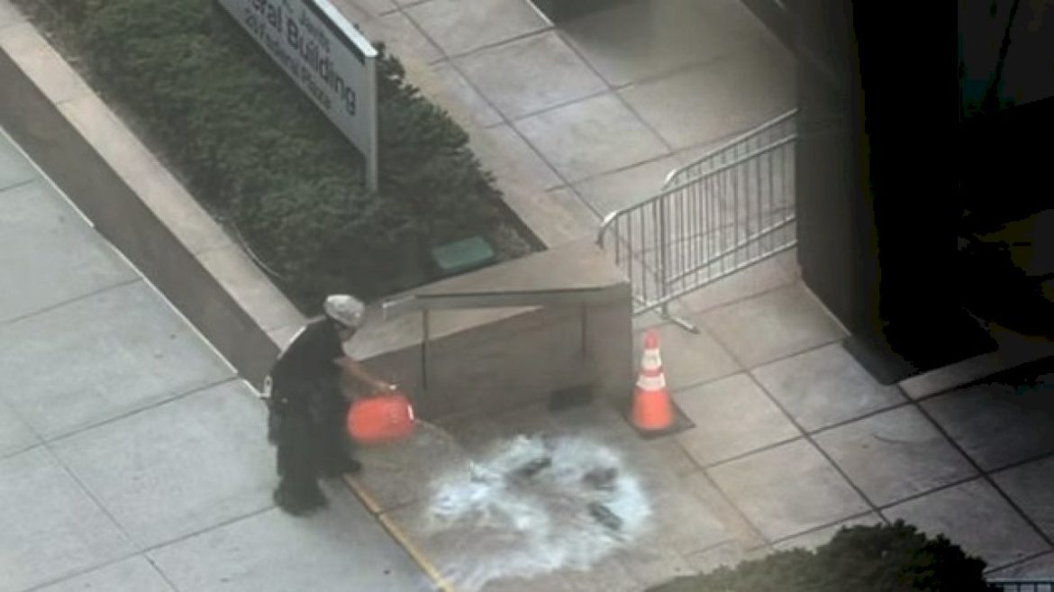 ‘anti-government-extremist’-sets-off-incendiary-device-outside-federal-building-in-new-york:-fbi