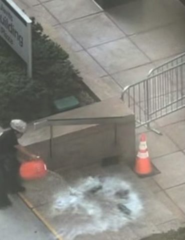 ‘anti-government-extremist’-sets-off-incendiary-device-outside-federal-building-in-new-york:-fbi