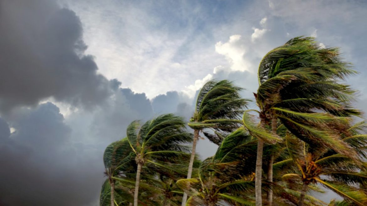 tropical-storm-bertha-churns-off-florida-coast,-prompting-storm-alerts