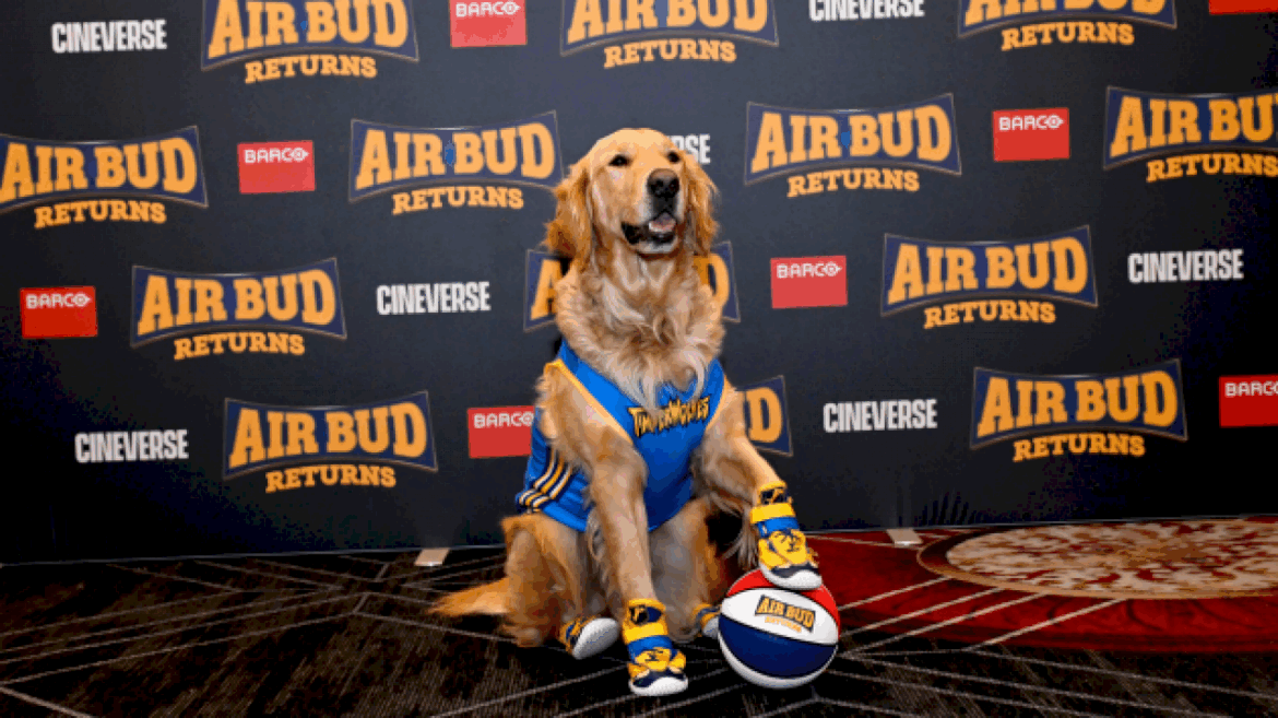 ‘air-bud-returns’-gets-teaser-trailer,-new-release-date