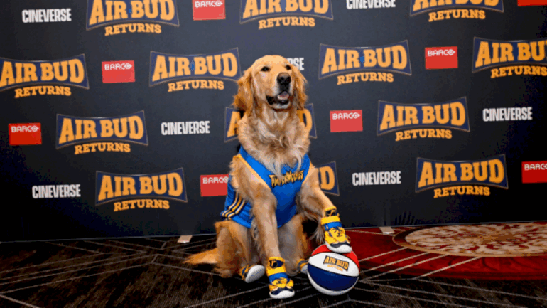 ‘air-bud-returns’-gets-teaser-trailer,-new-release-date
