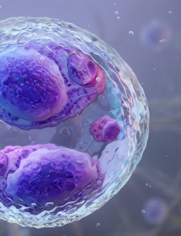1st-deaths-in-cyclosporiasis-outbreak-reported-in-michigan-as-cases-surpass-11,000