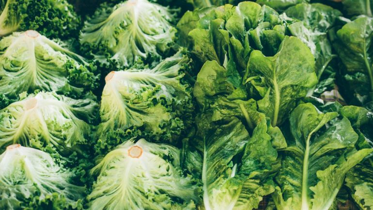 michigan-health-officials-say-people-can-resume-regular-lettuce-eating-habits-as-new-cases-of-cyclosporiasis-slow