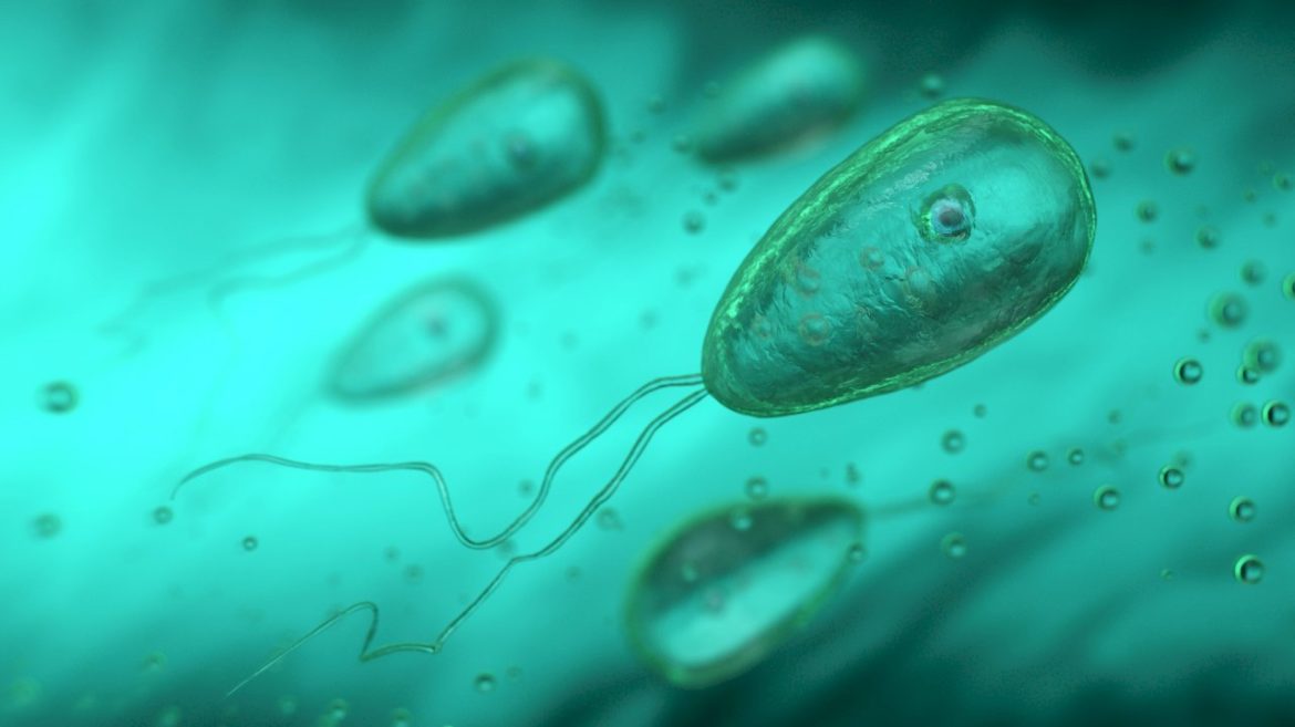 north-carolina-teen-dies-after-contracting-rare-brain-eating-amoeba-found-in-freshwater:-officials