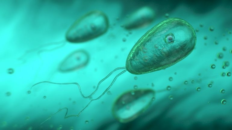 north-carolina-teen-dies-after-contracting-rare-brain-eating-amoeba-found-in-freshwater:-officials