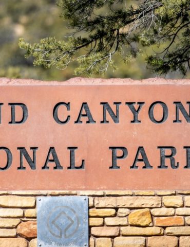 searchers-to-use-cadaver-dogs-in-grand-canyon-following-deadly-flash-flood
