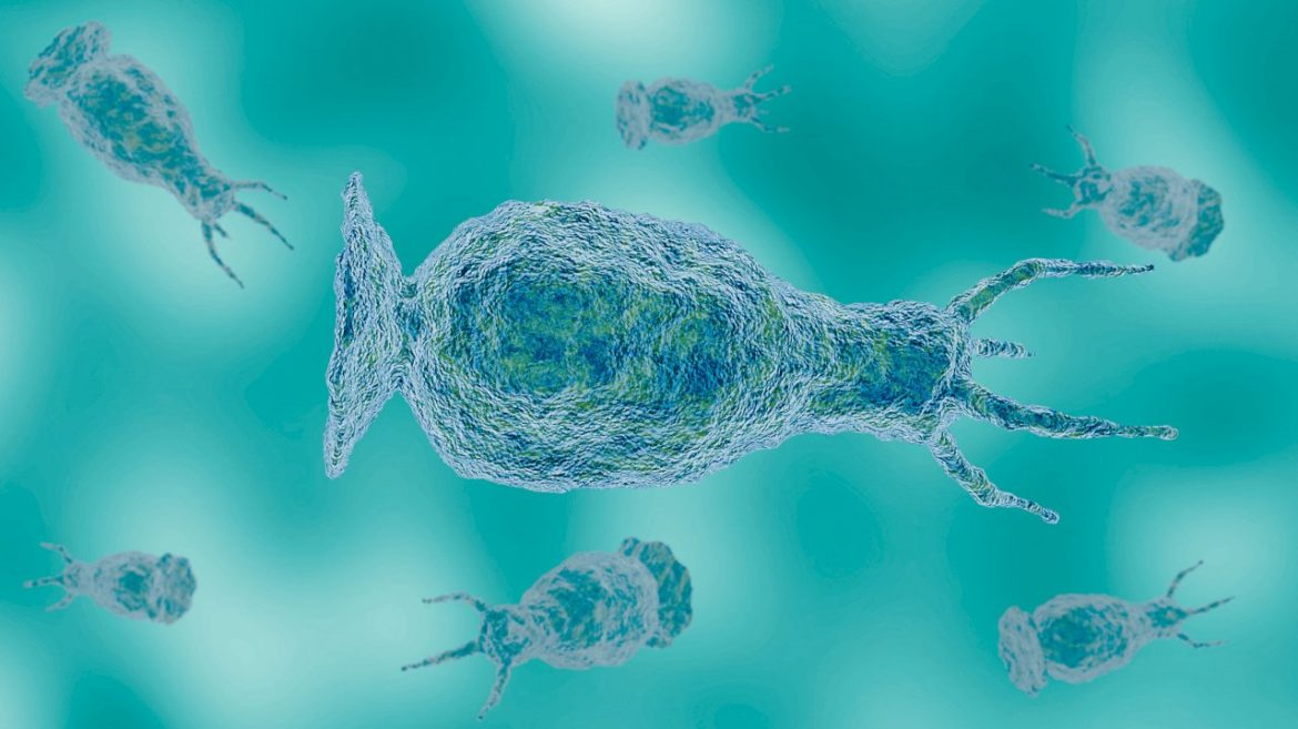 teen-who-died-from-brain-eating-amoeba-likely-infected-from-community-center-water-feature:-officials