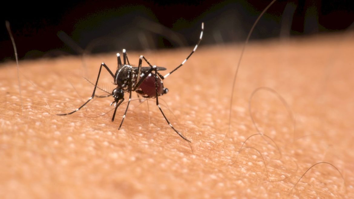 la-county-sees-highest-number-of-west-nile-virus-cases-in-nearly-a-decade