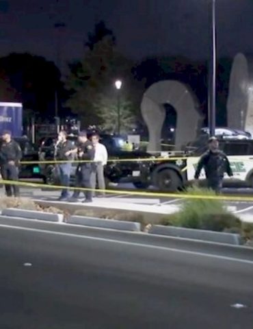 elderly-in-laws-accused-of-killing-new-york-times-games-engineer,-police-say