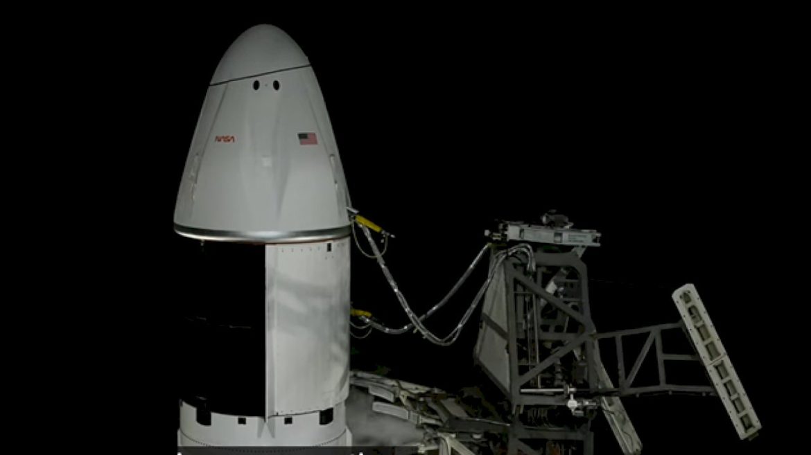 mini-organs-launching-to-space-may-help-future-astronauts-and-humans-on-earth-stay-healthy