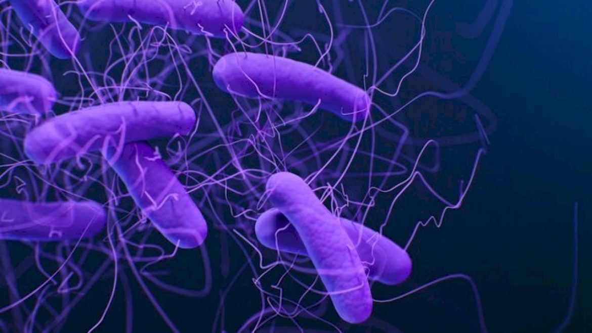 drug-resistant-germs-are-‘growing-threat’-to-us,-causing-more-than-50,000-deaths-annually:-cdc