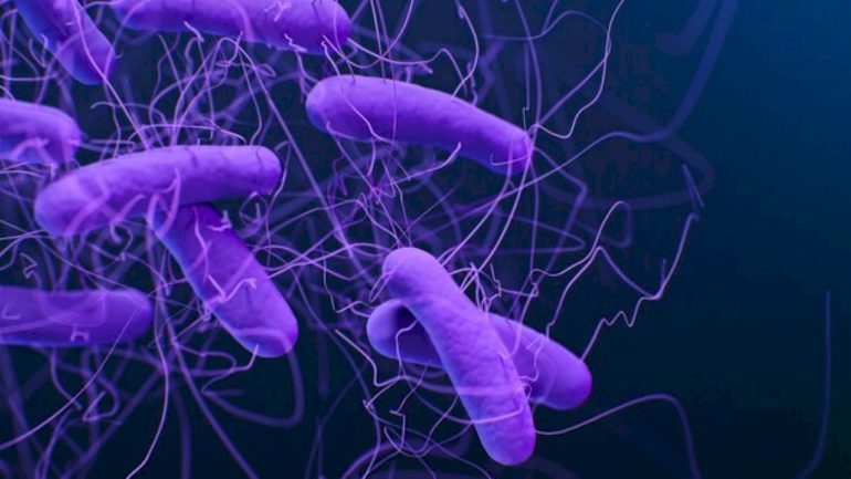 drug-resistant-germs-are-‘growing-threat’-to-us,-causing-more-than-50,000-deaths-annually:-cdc