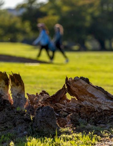 judge-admonishes-trump-administration-over-plans-for-washington,-dc,-golf-course