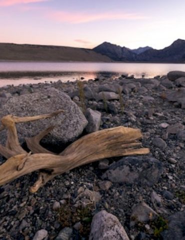 climate-change-is-a-‘global-health-emergency’-and-the-harms-are-accelerating,-lancet-report-warns
