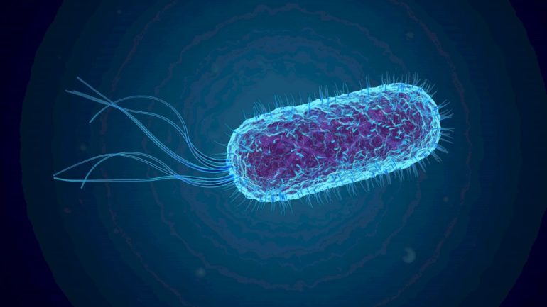 5-cases-of-e.-coli-confirmed-in-san-luis-obispo,-possibly-linked-to-local-farm:-health-officials